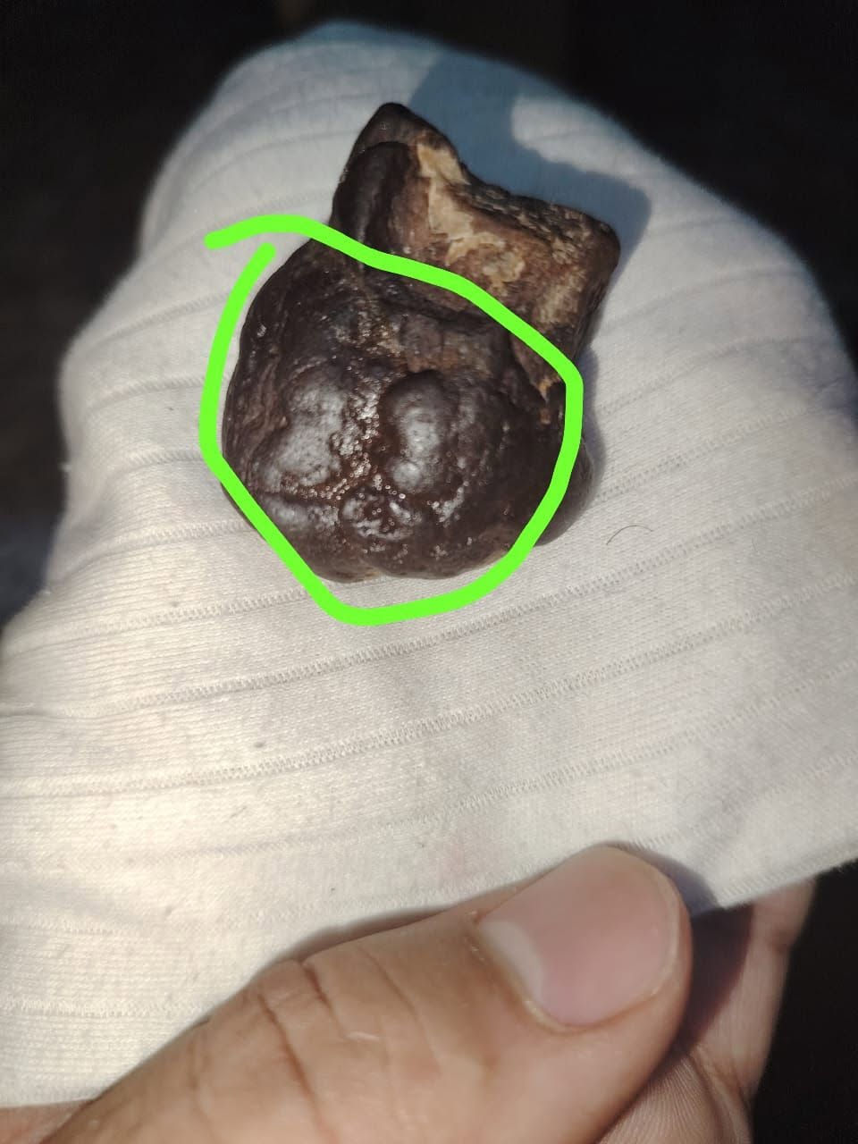 هبهاب مصور امره ورجال حب وحنان سعر وتفاصيل خاص


**إذا كنت صاحب هذا الإعلان وتريد حذفه لأي سبب، رجاءا أرسل رسالة إلى الدعم الفني**