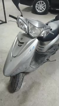 ببغاء • نوزل • مكفوله