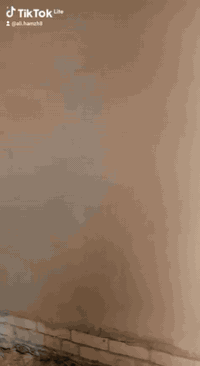 سلام عليكم لباخ متفرغ شغل درجه أولى مكاني نجف ***********//***********
