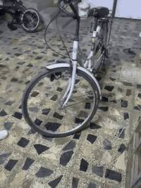 السلام عليكم الباسكل للبيع ياباني اصلي باله كله مختم العلوان بغداد المعالف للستفسار *********** متواجد واتساب
