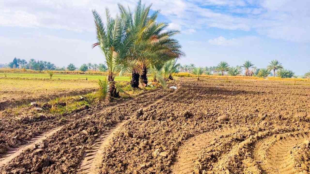 إقراء المنشور والتفاصيل وبعدين ابعث رسالة او اتصل وتدلل
قطعة أرض للبيع....
عشرين دونم
سعر الدونم ١٢ مليون 
عقد زراعي منتهي الصلاحية وماشين معاملة تجديد العقد
تشتري يسجل بأسمك انت كمل إجراءات التسجيل
الموقع الرمادي ناحية اليرموك منطقة زويغير الچري
الأرض مزرعة بالوقت الحالي ثمانية وزنة حنطة وزنه ونص شعير
مع كمية كبيرة من انواع النخيل
تحتوي على بئر ماء مع ماطرة بالاضافه إلى ماء الاروائي
تبليط بالوجه على طول الأرض بالاضافه طريق ثاني على الاروائي
تصلح ان تكون مزرعة او مكان ترفيهي
الأرض مكفولة من اي مشكلة عشائرية
________________________________
للإستفسار الاتصال على الأرقام التالية
*********** واتساب
*********** واتساب
او مراسلة الصفحة في اي وقت نعتذر عن التأخير عن الرد في بعض الأحيان
نستقبل جميع العروض العقارية في مدينة الرمادي
__________________________
(دلالية المكتب ٪٢)
