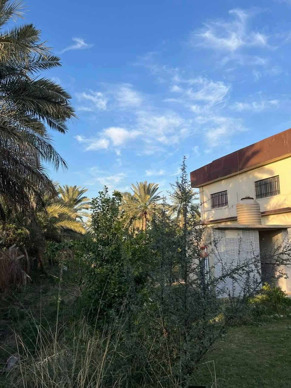 ‏يا الله 
السلام عليكم
يتوفر للبيع دونمين أرض طابو ملك صرف في المدائن – منطقة التويثة قرب شارع سيد علي بموقع ممتاز وقريب من الخدمات.
🔹 المساحة: دونمين كامل
🔹 يحتوي على بيت مساحة 350 متر
🔹 عدد الغرف: 6 غرف نوم
🔹 يوجد هيكل بناء نقص تشطيب مساحة 100 متر
🔹 يبعد فقط 70 متر عن السدة
🔹 المنطقة مخدومة بالكامل (ماء – كهرباء – شوارع مبلطة)
📍 موقع هادئ ومناسب للسكن أو الاستثمار.
📞 للاستفسار الاتصال. *********** ***********
