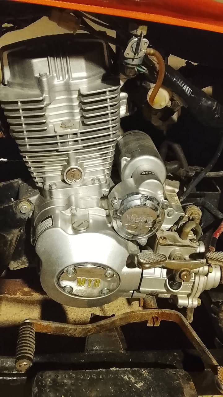 سلام عليكم اخوان ستوته ام تي ار مديل 19 رقم وسنويه رقم غديم راعيها موجود تعمير خمسه وعشرين كله بلاد باقي تفاصيل وتساب مكاني بصرا الهارثه السعر واحد وسبعميه وخمسين1750رقم ***********
