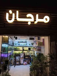 افتتاح متجر مرجان للأسماك والطيور والنباتات  🐠 🦜🌿  يسعدنا نعلن لأهالي ...