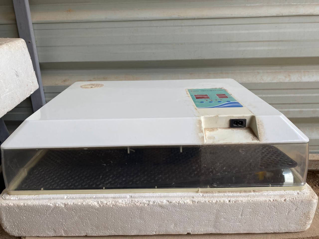 متاح مفقس البيع سعر ٦٠ وبي مجال مكن برونه ***********
