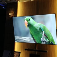 روميو • ٨٥بوصه • استعمال شهر