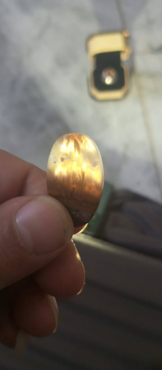 للبيع ومراوس تواصل خاص مكاني كربلاء


**إذا كنت صاحب هذا الإعلان وتريد حذفه لأي سبب، رجاءا أرسل رسالة إلى الدعم الفني**