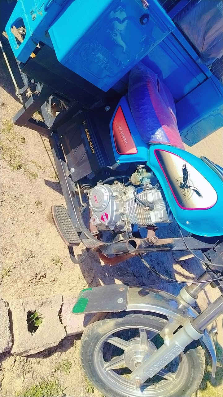 السلام عليكم ستوته أوراق كامله ستوته نضافه فول مكان بغداد ابو غريب للستفسار أكثر اتصل ***********
