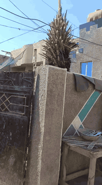 السلام عليكم  تكريب نخل وقطع الاشجار والنخيل العالقة في الكهرباء ***********
