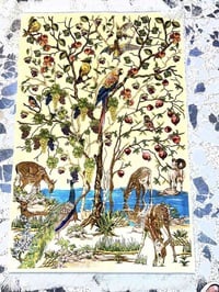 زوليه حرير • 160×100 سم • قم