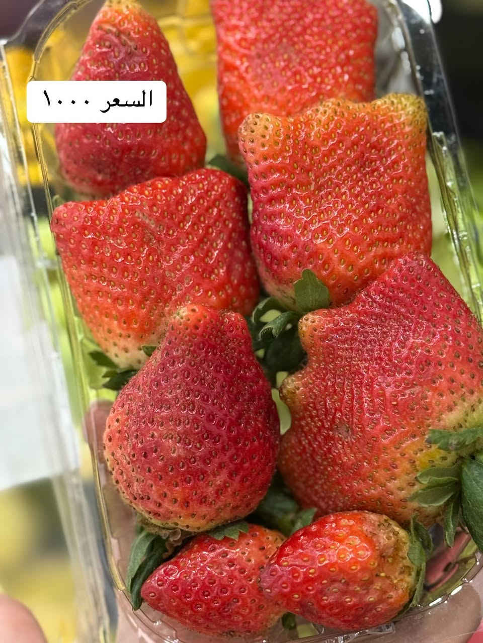 فواكه طازجه متوفره الان لدى هايبر ماركت توفير 

العنوان - الخاجيه مقابيل الباب الخلفي لمستشفى الزهراء


**إذا كنت صاحب هذا الإعلان وتريد حذفه لأي سبب، رجاءا أرسل رسالة إلى الدعم الفني**