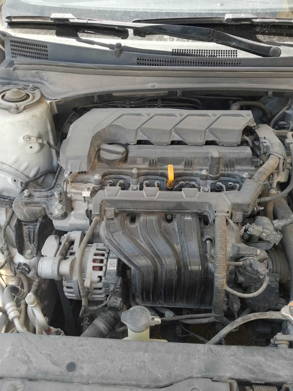 السلام عليكم للبيع النترة المعلومات داخل الصور
