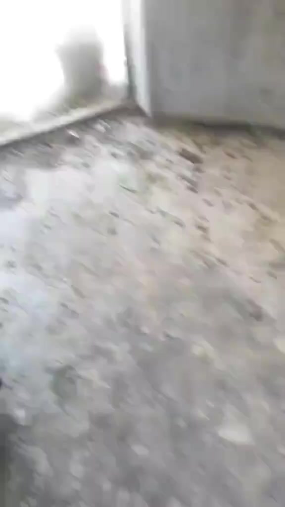 خلفه سراميك بورسلين عملنا بابل ونطلع نواحي واقضية بابل للتواصل ***********
واتساب ***********
