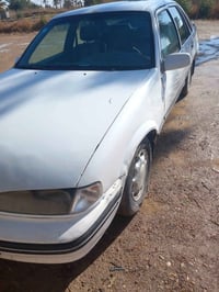 برانس ١٩٩٥ • رقم بغداد • محمودية