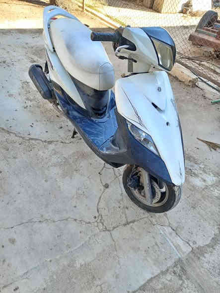 للبيع ثعلب كاملة من كلشي مكينة ابلادية برغي ما مفتوح بيهة ناعمة كلش شلعة و معدل كهربائيات كلهة شغالة تايرات دبلات نضيفة السعر 650 بيهة مجال بسيط مكاني بغداد الشعلة الرقم ***********الشراي يتصل
