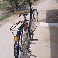 باسكل • للبيع • تفاصيل خاصة