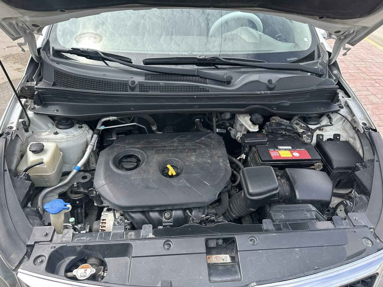 سلام عليكم
كيا سبورتج خليجي 2016 كفاله عامه 
مري شفط نضام ترحيب مكينه 2000 كامره خلفيه مثبت سرعه تحكم ستيرن قطعتين تبريد اشاير مري حساسات خلفي ثلاث أنظمة قياده كشافات ضباب حداديه جديده لايت زنون ماشيه 156,000 قابل للزياده تخم تاير جديد 
سياره جاهزه اتصال عل رقم *********** السعر 156 السياره باسمي تحويل ثاني يوم مكان السياره كربلاء
