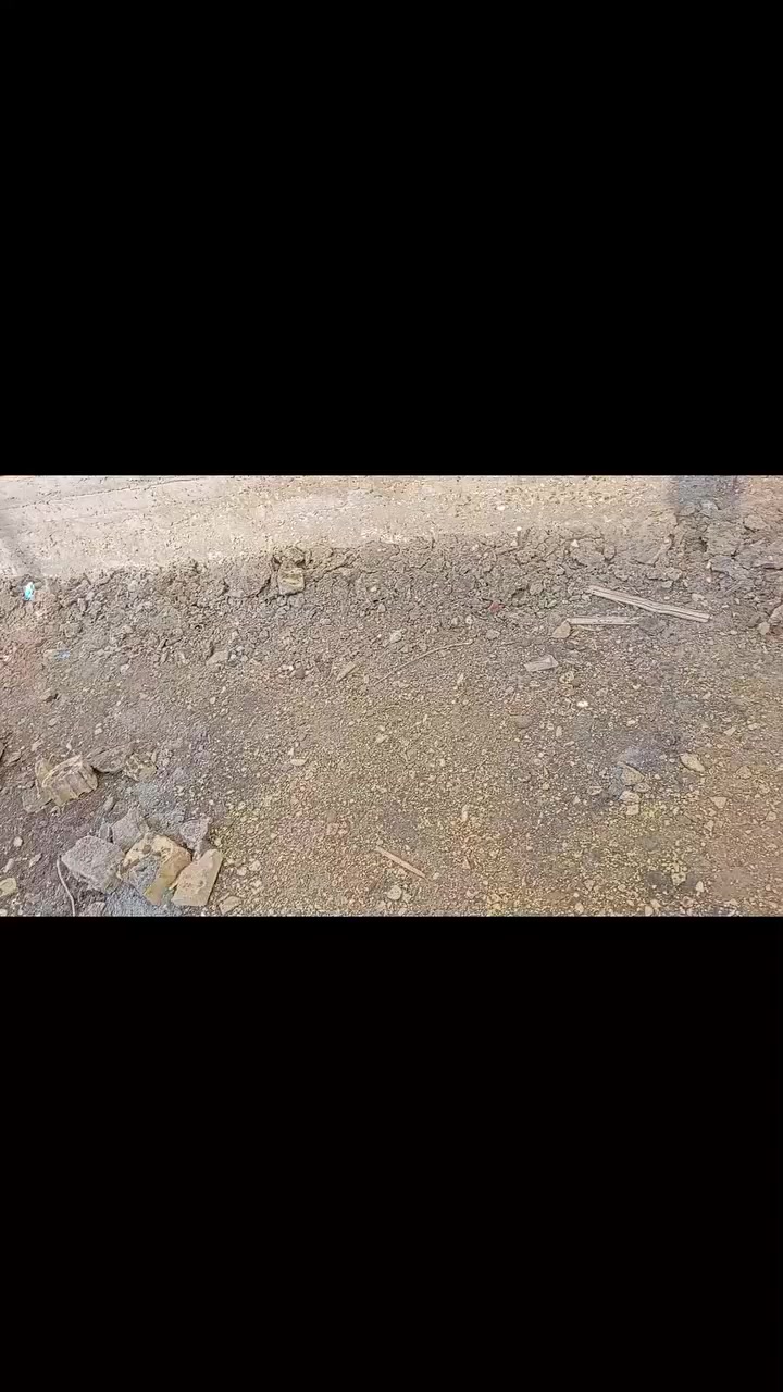 أثناء عمل وقايه لاحد بيوت اعضاء كروبنا
وطبعا دائما ننصح بالوقايه من حشرة الارضه 
وخاصة اللي بصف بيته قطعه فارغه 
#المهم اثناء العمل وجدنا بداية تواجد الارضه بجانب البيت أثناء حفر الخندق 
والحمد لله قضينا عليها وتم تنصيب اكثر من 16 مصيده 
لمزيد من المعلومات راسل الصفحه أو الاتصال على الارقام 
***********
***********
