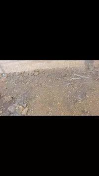 أثناء عمل وقايه لاحد بيوت اعضاء كروبنا وطبعا دائما ننصح بالوقايه من حش...