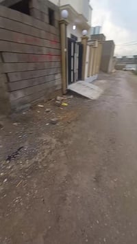 هيكل • القوسيات • ١٠٥م