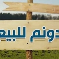 دونم سند 25 بأسمي بمنطقة الشيخ عامر يبعد السوق 3 كيلو  متوفر ما وكهربا...