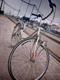 بايسكل • حجم 28