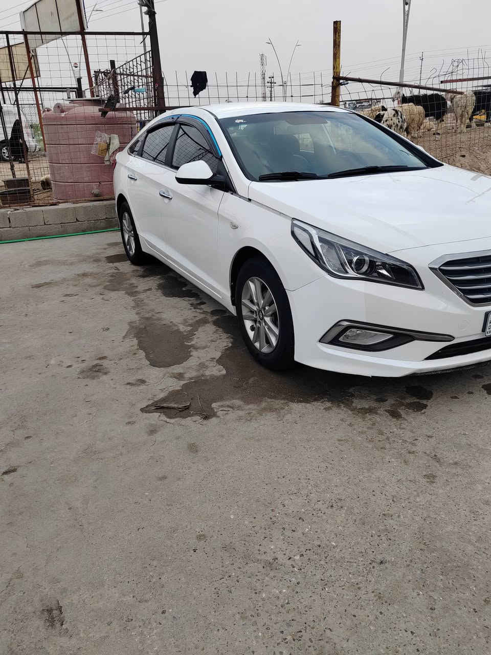 السلام عليكم سوناتا كارتون السياره جديده دخول جديد ادوات تبريد حداديه تخم تاير مكينه كير ويلات كله جديد رقم وسنويه شمالي حساسات خلفيه كامره شاشه نقص ما بيها موديل 2017 غاز ابلاد كارتون السياره كصه جنطه سياره جديده العنوان البصره استفسار *********** امراوس ماكو مشكلة
