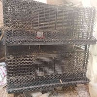 بطاريتين • متعدد الاستخدام