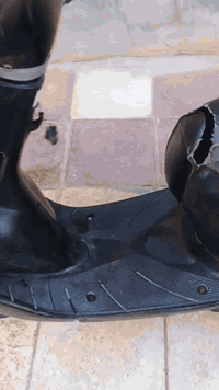 سلام عليكم  درجه منغولي فحل للبيع نضيفه مبيه نقص بس بتري شغاله سلف هندر السعر 250مكني النصريه مركز  *********** هاذا رقمي
