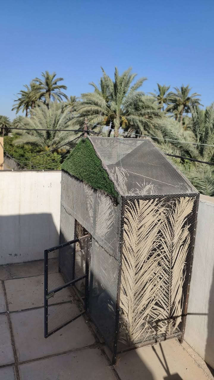 محميه مال بلابل كلش حلوه وبالعافيه اللي ياخذها
***********
