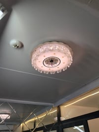 اخوان عندي هاي الثريات زوج للبيع التواصل 07706258466