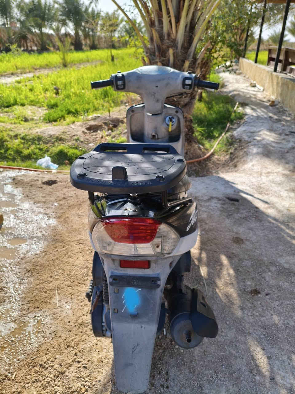 للبيع او مراوس ب4 كير   ماكس منغولي مكفوله من كلشي نضيفه كلش صار شهرين من نازله سعر 900 وبيها مجال قليل كلش مكان سماوه رقم ***********
