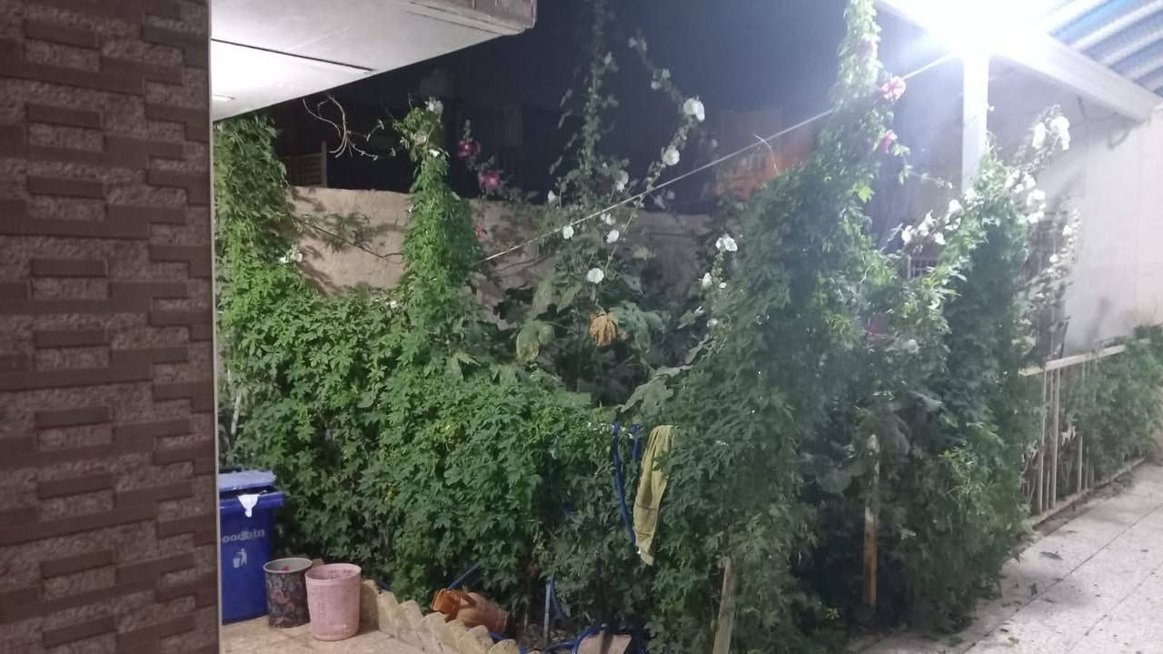 بيت  للبيع ٤٥٠م في الحسين القديم قرب حلويات الحمداني وخلف محو الامية (وسائل التعلمية)
***********
