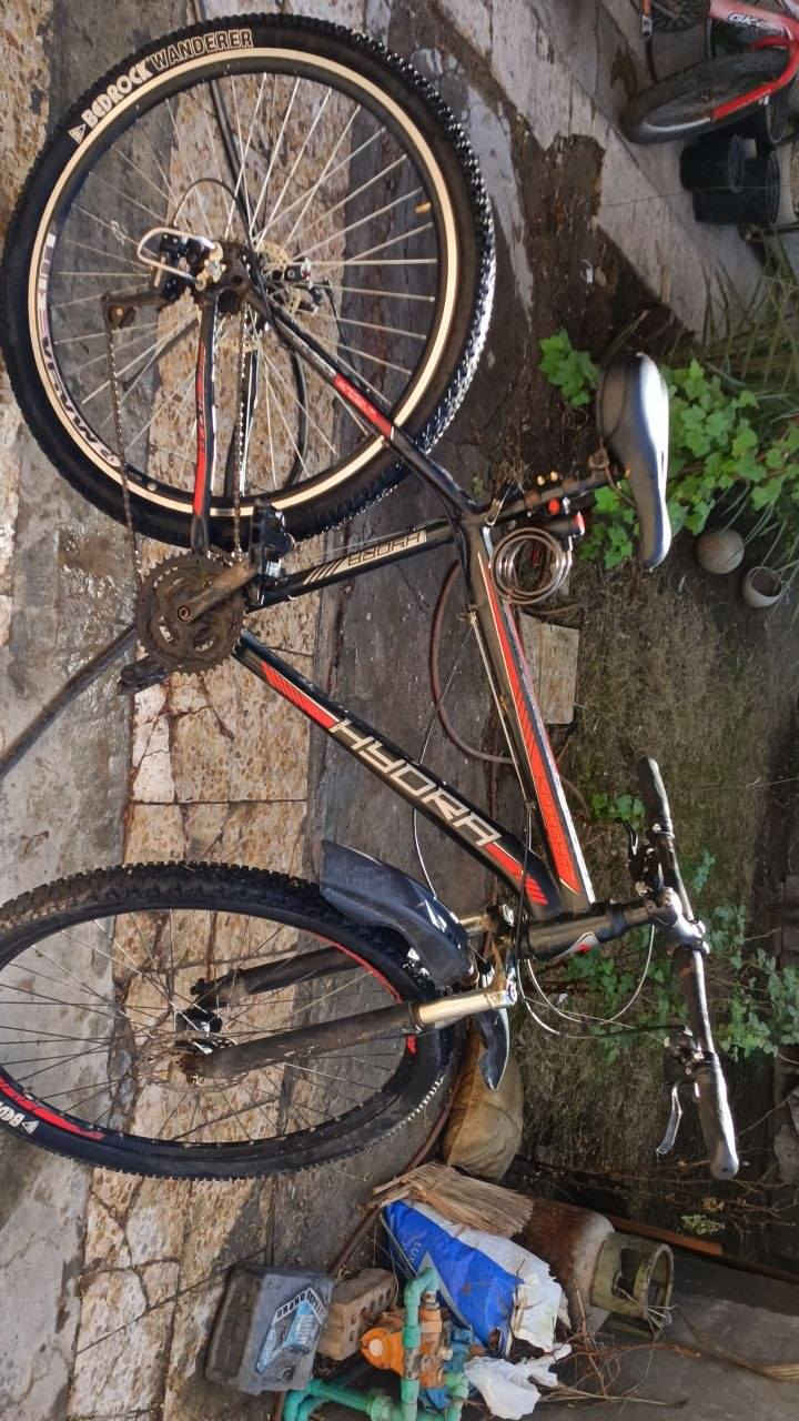 باسكل جبلي شوفت عينك نضيف السعر 100او بي مجال الإتصال على رقم ***********
