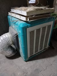 مبرده • نظيفه • كربلاء