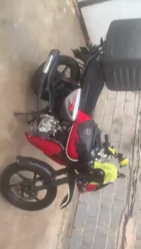 بوكسر • موديل ٢٣ • بدون اوراق