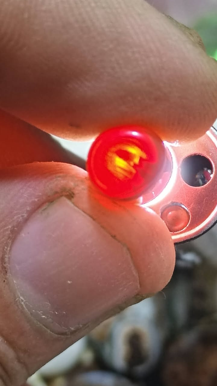 قطعه من جمال البحار التونسيه 
مرجان تونسي طبيعي قطعه نادره معرقه من الداخل


**إذا كنت صاحب هذا الإعلان وتريد حذفه لأي سبب، رجاءا أرسل رسالة إلى الدعم الفني**