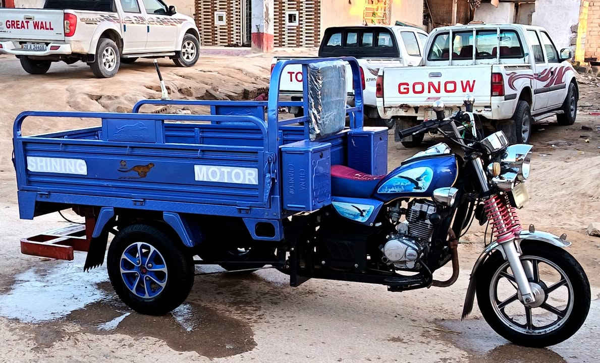 ﷺ
ستوته جمره فحل 2023 طالعه 2024 #رقم_وسنويه بسمي دشبول اكتروني كفالة عامه على وضع الوكيل
ستوت امربله وكامله دعاميه كهربائيات كله شغاله
الشراي يتصل واني خادم مكان نجف مناذره 
***********
