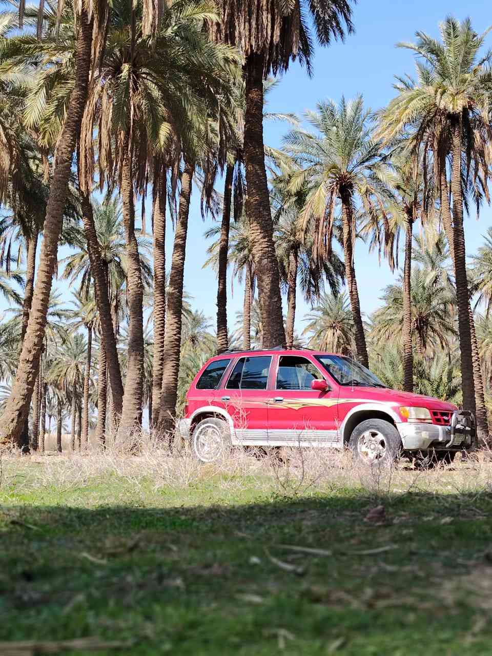 السلام عليكم .سياره .سبورتج موديل 2001. بدون صبغ بلاديه .كير ومكينه كفاله . كهربائيات كله شغاله .رقم .بابل .السعر. 38. بيه مجال قليل. العنوان بابل الحمزه الغربي .الاستفسار..***********
