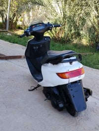 فراشه • فحل • ابيض