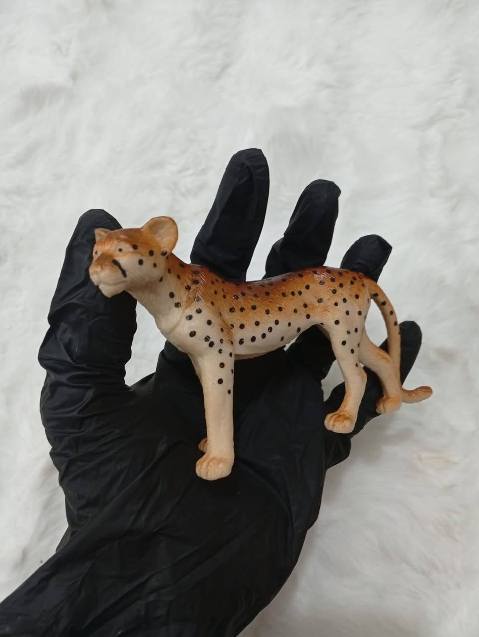 حيوانات باله اوربيه كبار ووسط 16 قطعه
10 الف


**إذا كنت صاحب هذا الإعلان وتريد حذفه لأي سبب، رجاءا أرسل رسالة إلى الدعم الفني**