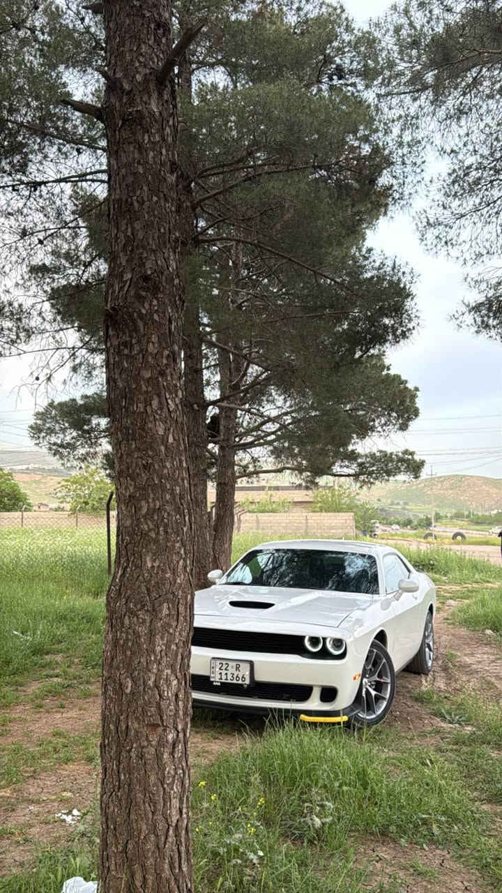 جالنجر 2022
موصفات sxt plas
ماشيه 41mil
فول فول موصفات ماعده السلايت 
كشنات جلد بلادي وتبريد تدفئه
+ الستيرن تدفئه
حتـى الدشبول والبيبان هم جلد اصلي  
خزن ميموري وضعيتين 
لايتات زنون 
ويل حجم 20
شفتات ستيرن 
شاشه جبيره 
سبورت مود
رادار نقاط عمياء بلمرايات
رقم شبه مميز 
سنويه وفحص وهزه كلها جديد 
ضرر السياره جاملغ جهة السائق صبغ على كد التعديل  فقط والبونيد تم تغييره حسب الرغبه
بدون دواخل بدون ايرباك بشرط
عنوان / كركوك *********** كركوك, العراق

