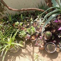 للبيع • ديكور • اسعار مناسبة