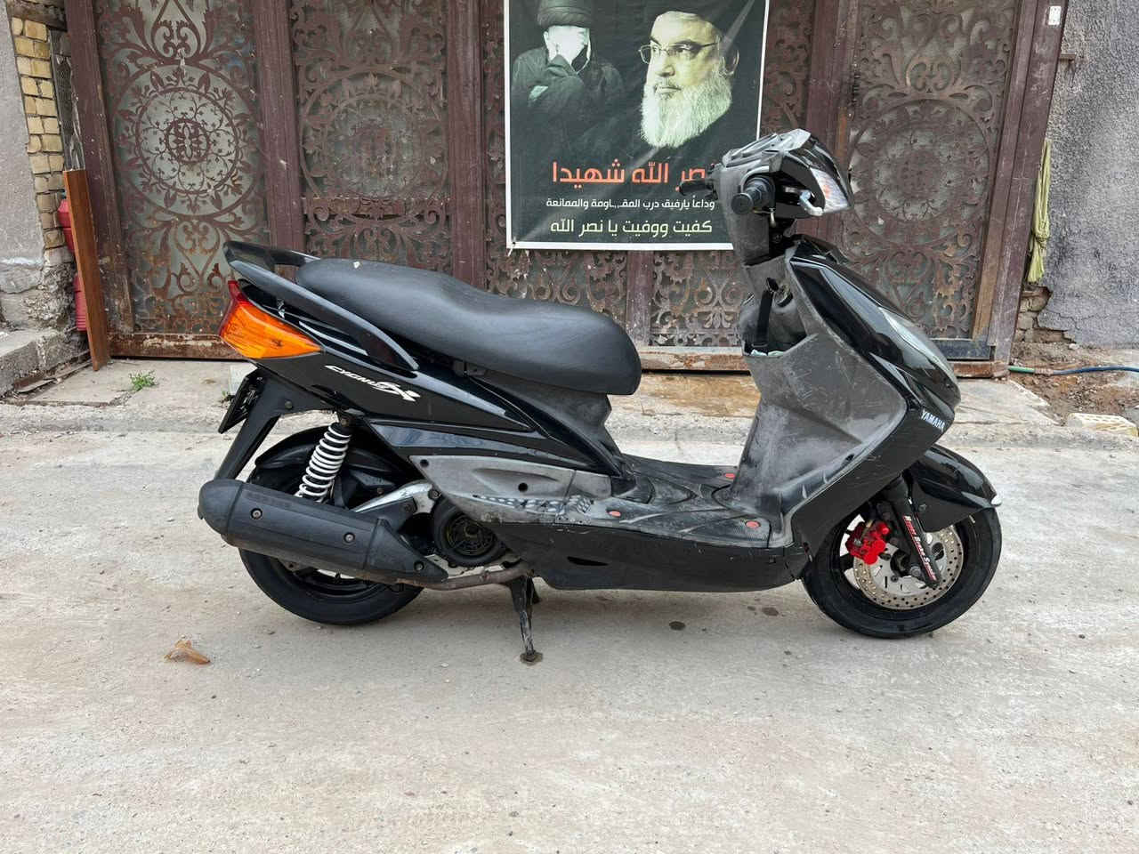 السلام عليكم سكنس فحل جديد رقم الهاتف *********** سعر 750 ابي مجال
