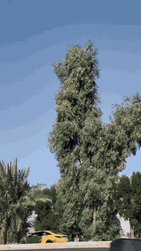 سلام عليكم 
جمعه مبارگ 
درجه البيع 
رابيدو ٢٥
وراق اصوليه 
شاصي ٢٠١٦نامه شايل رفيع 
سعر 600$
وبيه مجال شي بسيط 
درجه كلش حلوه وناعمه مرتبه من شاصي من مكينه 
مكاني ديالى بلدروز 
رقم ***********
