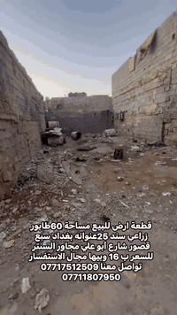 سبع قصور شارع ابو علي • ٦٠م • طابو زراعي