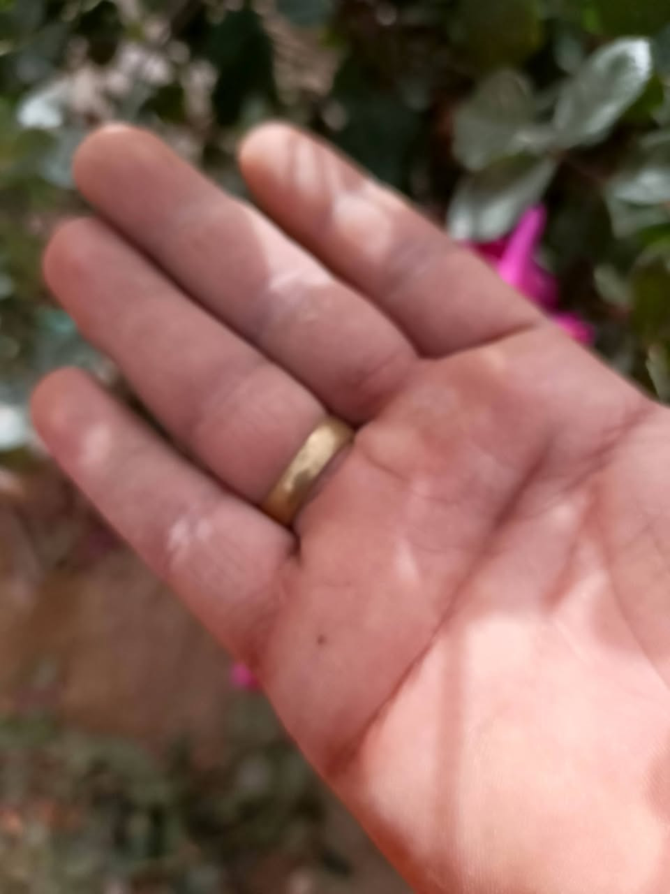 سلام عليكم  خوان عندي هاذا الخاتم طلعلي بقمصله باله صارلهه عندي تقريباً 7 سنوات ذهب عيار 14kمختوم حتى رمز العيار 585 وزنه تقريباً 5 غرامات أو أكثر بيع أو مراوس بزنجيل مكاني كربلاء توصيل ماعندي


**إذا كنت صاحب هذا الإعلان وتريد حذفه لأي سبب، رجاءا أرسل رسالة إلى الدعم الفني**