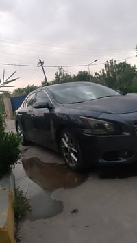 ماكسيما • ٢٠١٠ • سعر خاص