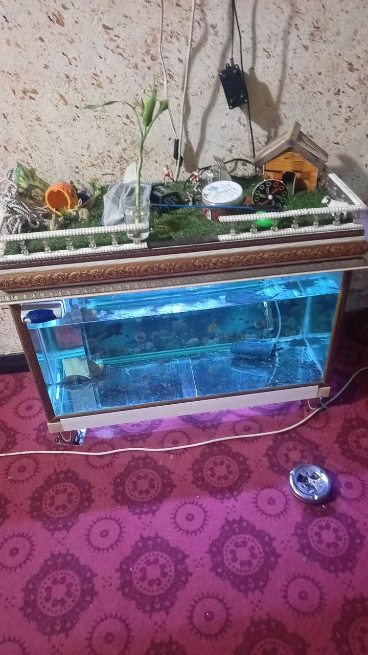 السلام عليكم حوض كامل مكمل للبيع مكاني كفائات العبيدي ***********
