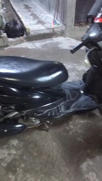 فحل نوزل ياباني كفالة من كلشي مكان حي اور رقمي 07751501625